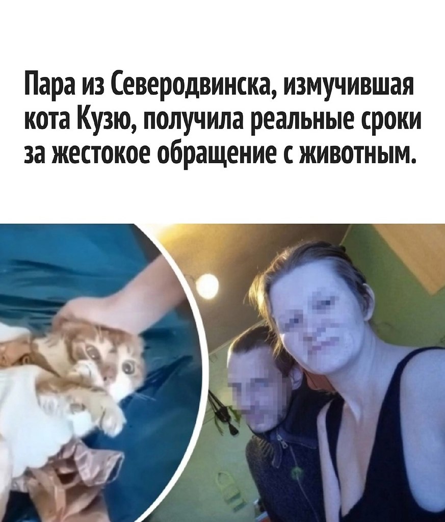      - 27  2022  13:39