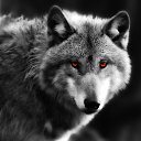 ���� ��������, ������, 64 ���� - ��������� 22 ������� 2022 � ������ ���� ����������