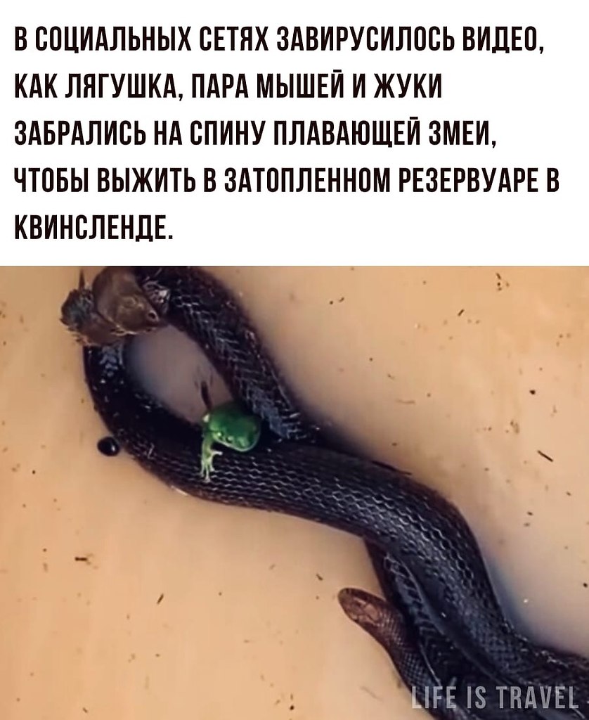LIFE -  - 21  2022  22:48 - 3