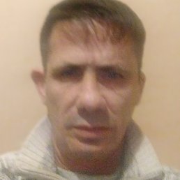 ����, ����������, 46 ���