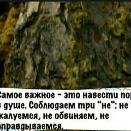 ���� �����, ������, 43 ���� - ��������� 3 ������� 2022