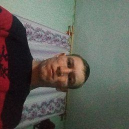 ����, ����, 37 ���