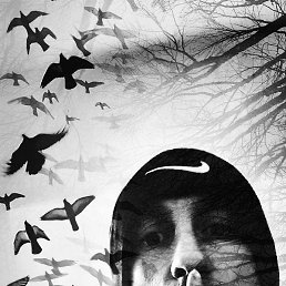 �����, ���������, 40 ���