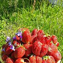 ���� �����, ������, 55 ��� - ��������� 8 ���� 2022 � ������ ���� ����������