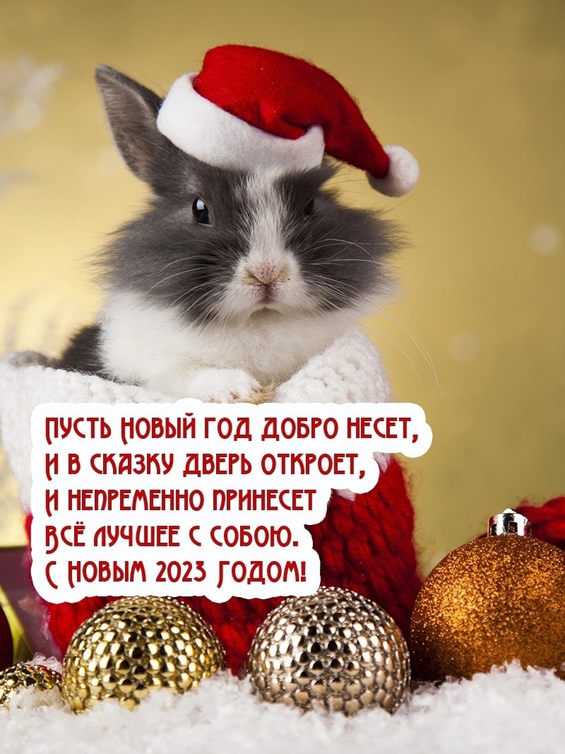 Z G  - 31  2022  00:26