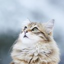 ���� ����, ������, 50 ��� - ��������� 11 ������ 2022 � ������ ���� ����������