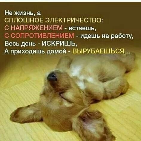 ПРИКОСНОВЕНИЕ ДУШИ - 3 ноября 2022 в 10:01
