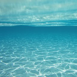 ���� �����, �����������, 61 ��� - ��������� 25 �������� 2022