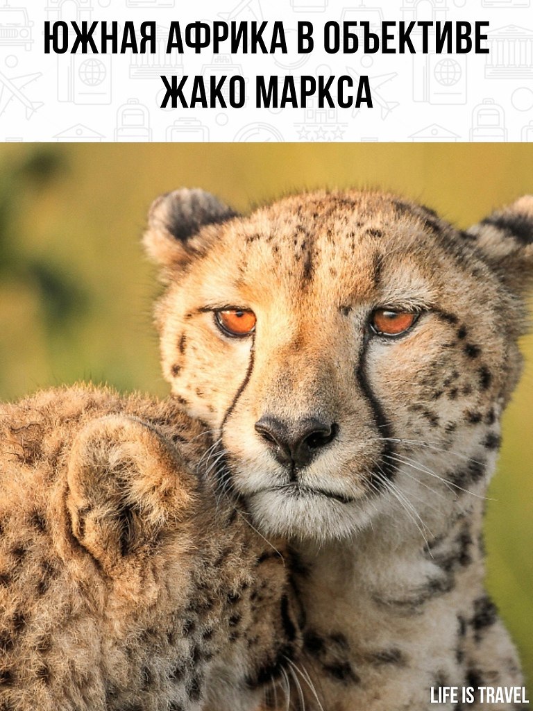 �������� �� ����� ����������