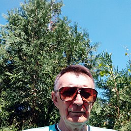 ���� ���, ������, 73 ���� - ��������� 12 ������� 2022