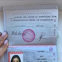 ���� ��������, ����������, 53 ���� - ��������� 7 ������� 2022 � ������ ���� ����������