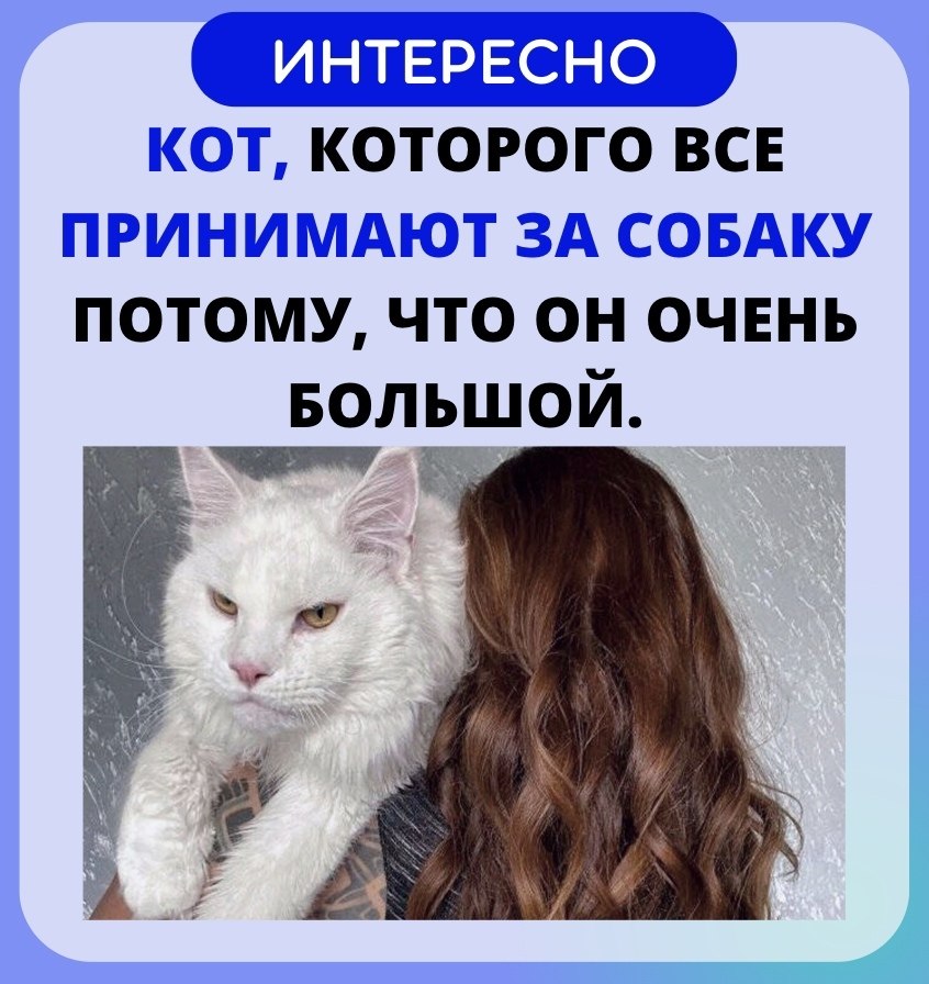   - ! - 11  2022  07:33