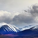 ���� ������, �������, 70 ��� - ��������� 4 �������� 2022