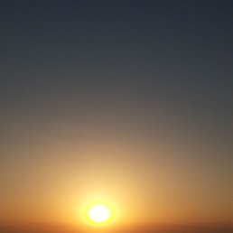 , , 56 