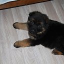 ���� ������, �����������, 46 ��� - ��������� 27 ������� 2022 � ������ ���� ����������