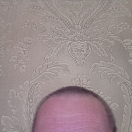 ���� A�����, ����������, 54 ���� - ��������� 9 ������� 2023