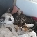 ���� ������, ����, 54 ���� - ��������� 10 ������� 2023 � ������ ������ ��������
