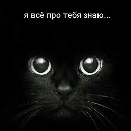 ���� Alex, ������, 31 ��� - ��������� 2 ���� 2022