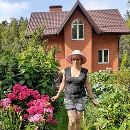 ���� ������, ���������, 68 ��� - ��������� 12 ������� 2022