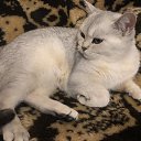  , , 52  -  6  2022   !!!