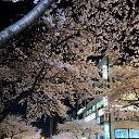 ���� Jane, ������, 41 ��� - ��������� 23 �������� 2022