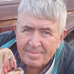 ��������, ������, 75 ���