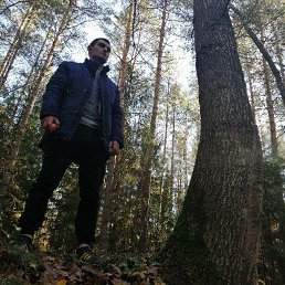 ���� ������, ������, 33 ���� - ��������� 5 ������ 2022