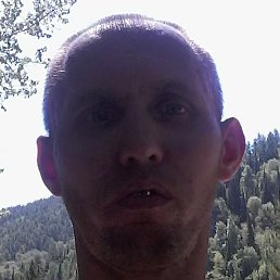 �������, ������, 40 ���