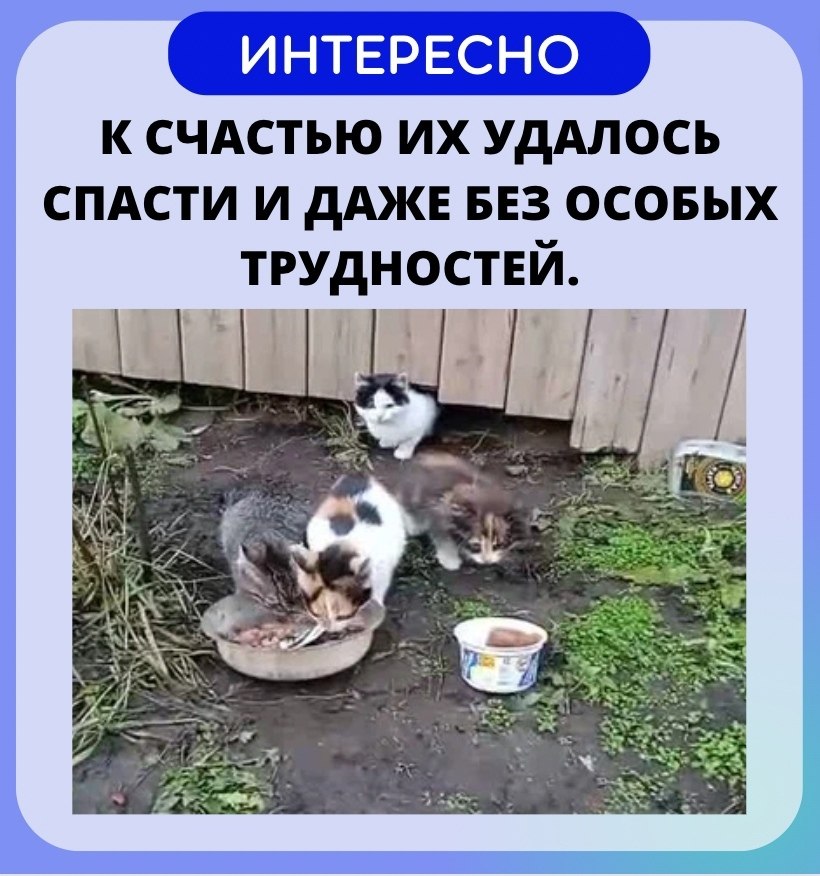   - ! - 5  2022  20:39 - 3