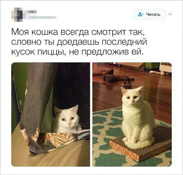    - 22  2022  04:42