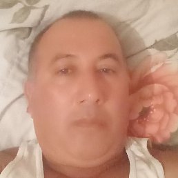 ����, �������, 49 ���