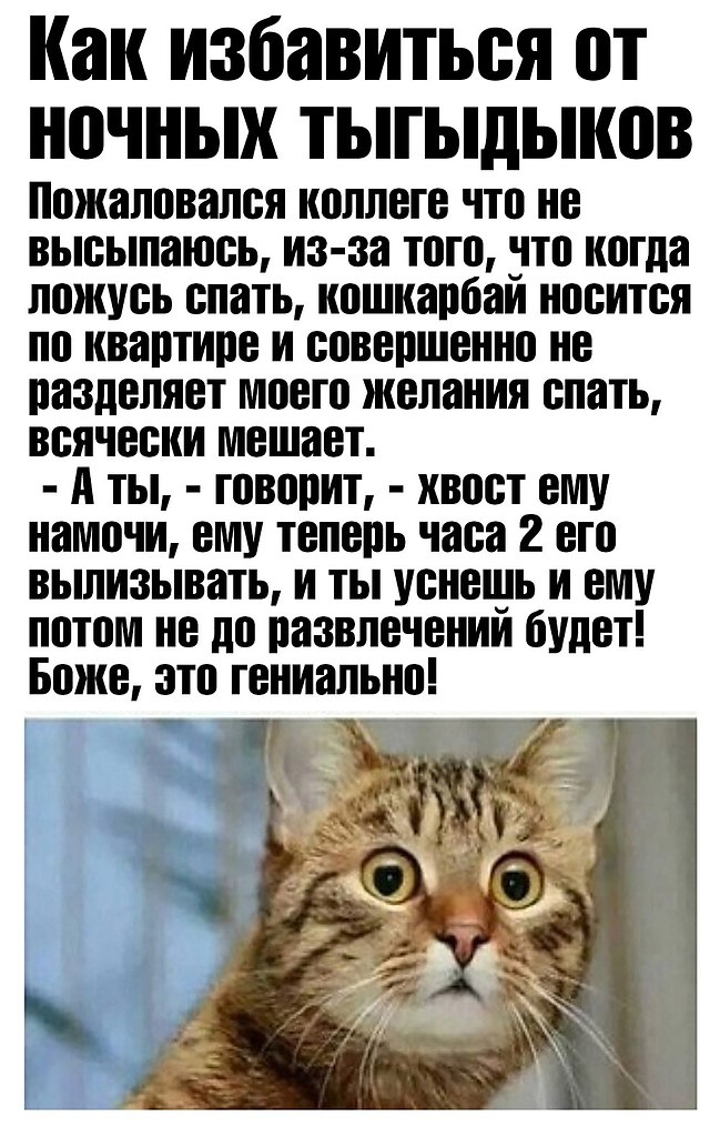 2973058346.jpg