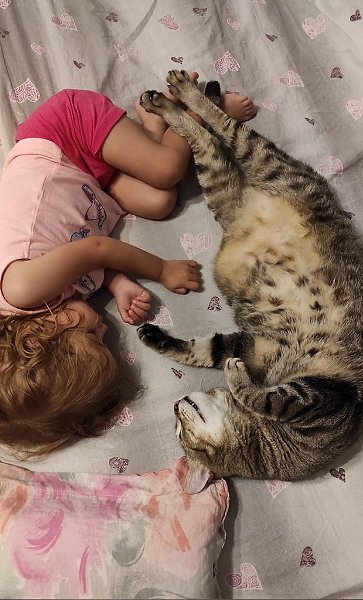 � �������� ������. ���� 3 ���� � ����� 3 ����))) - 2