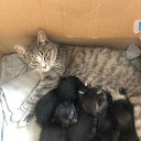 ���� ��������� 8), �����-��������� - ��������� 31 ������� 2022 � ������ ������� ������� 2022�