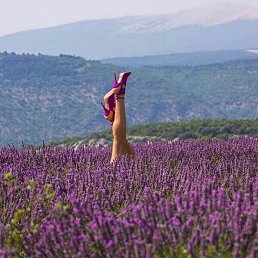 �����, �����������, 54 ����