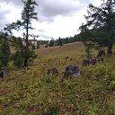 ���� �����, ������, 40 ��� - ��������� 26 ������� 2022 � ������ ������