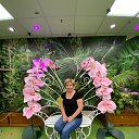 ���� �������, ���������, 50 ��� - ��������� 9 �������� 2022 � ������ ���� ����������