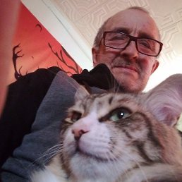 ����, ������, 68 ���