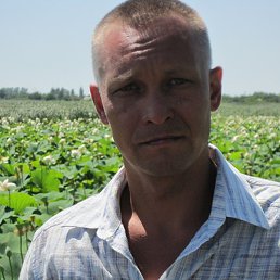 ���������, ������