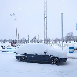 �����, �����-���������, 31 ���