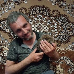 , 42, 