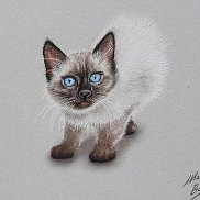 Василий, 29 лет, Шымкент Василий, 29 лет, Шымкент
