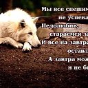 ���� �������, �����, 58 ��� - ��������� 12 ���� 2022 � ������ ���� ����������