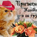  ,  -  2  2022     ,  .