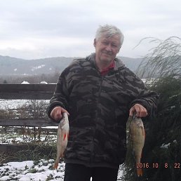 �������, ������, 63 ����