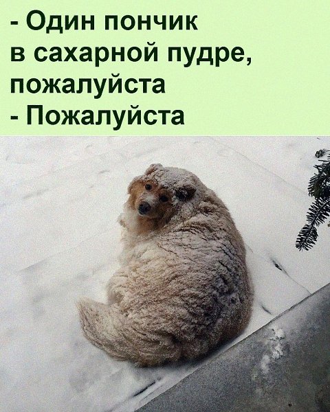 ������ ��������� :D - 9 ������� 2022 � 08:22