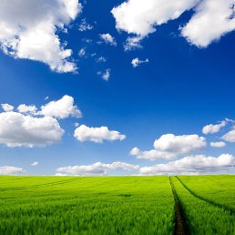 Grigor, �����, 45 ���