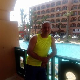 ���� ����, �����-���������, 52 ���� - ��������� 5 ������� 2022