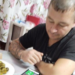 ������, �����-���������, 41 ���