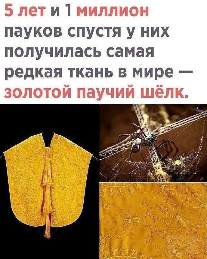 O. ,  ,    . - 3